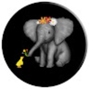 Meet your Posher, Kymburlie